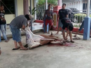 Read more about the article Perayaan Hari Raya Idul Adha Keluarga besar BPKAD